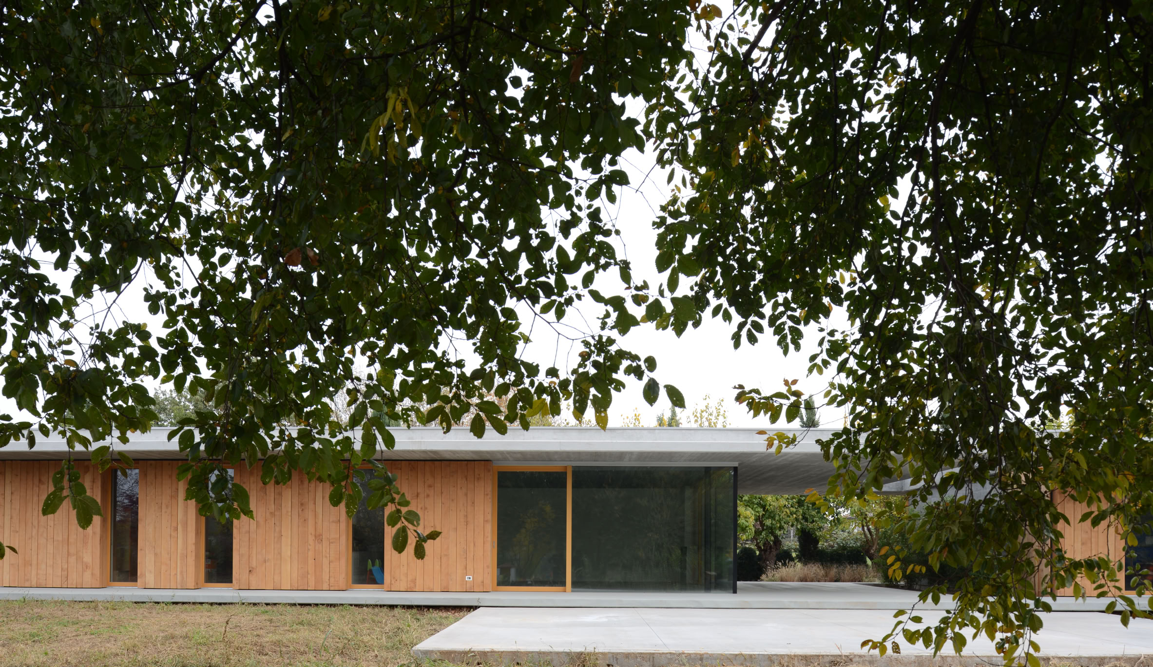 Architettura contemporanea a Treviso con facciata in legno e calcestruzzo a vista, integrata armoniosamente nel paesaggio naturale.